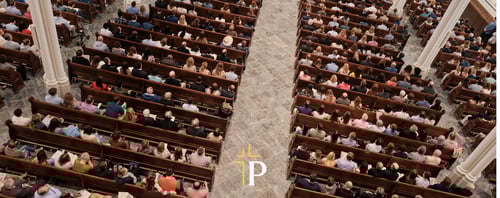 The Case for Support