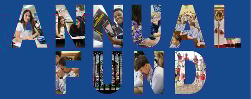 Annual Fund Blog Post