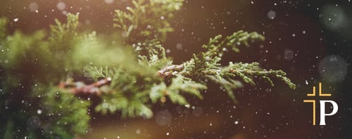 The Importance of Christmastide